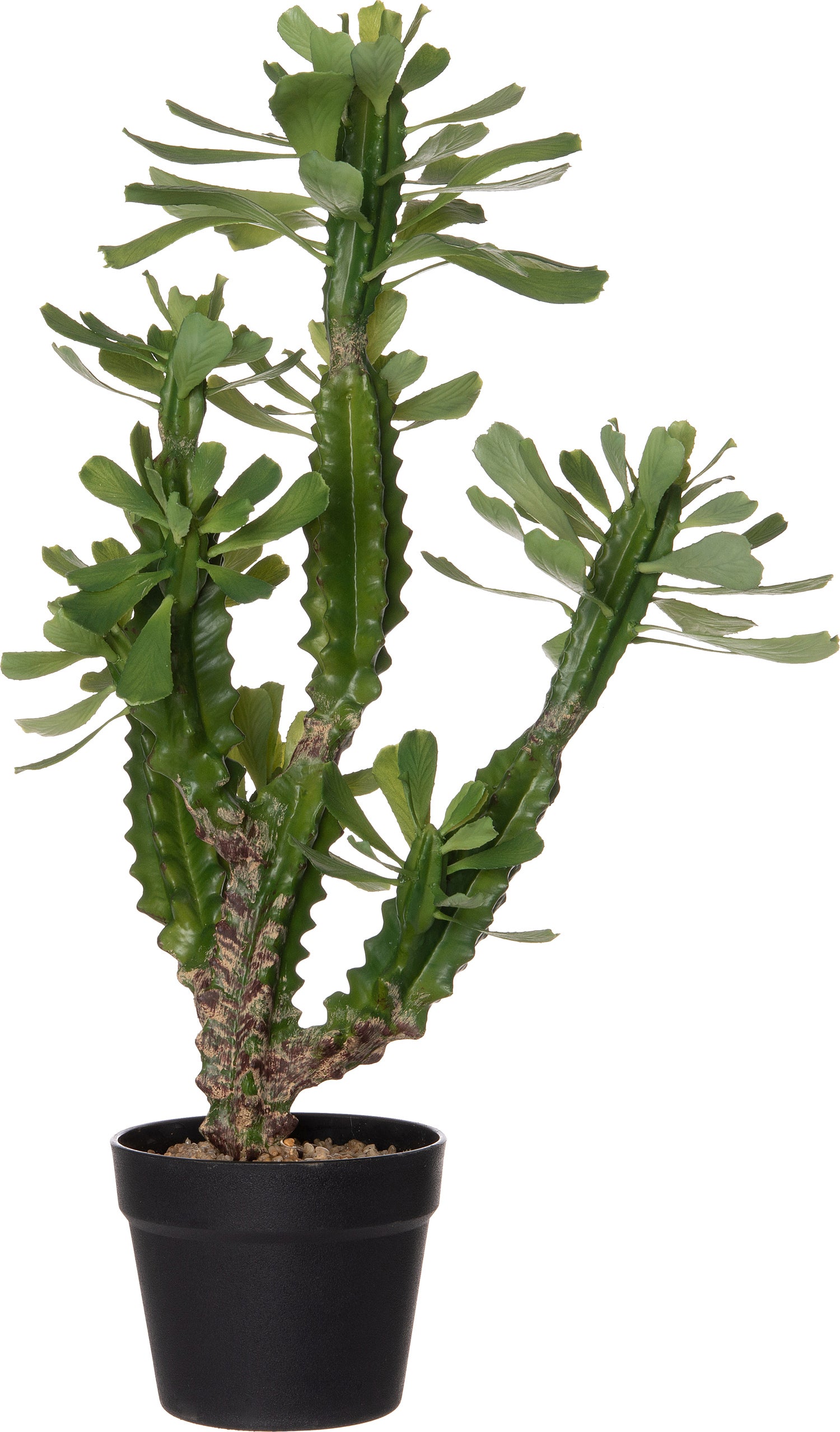 Intratuin kunstplant Cowboycactus 33 x 33 x 63 cm