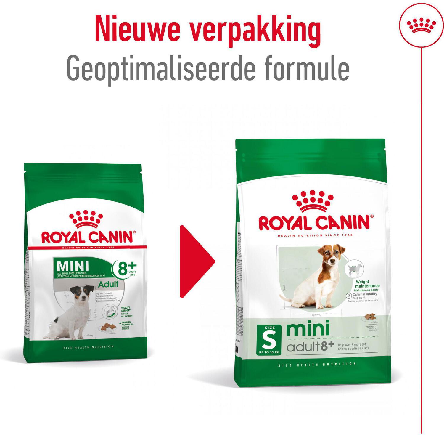 Royal Canin hondenvoer Mini adult 8+ 2 kg