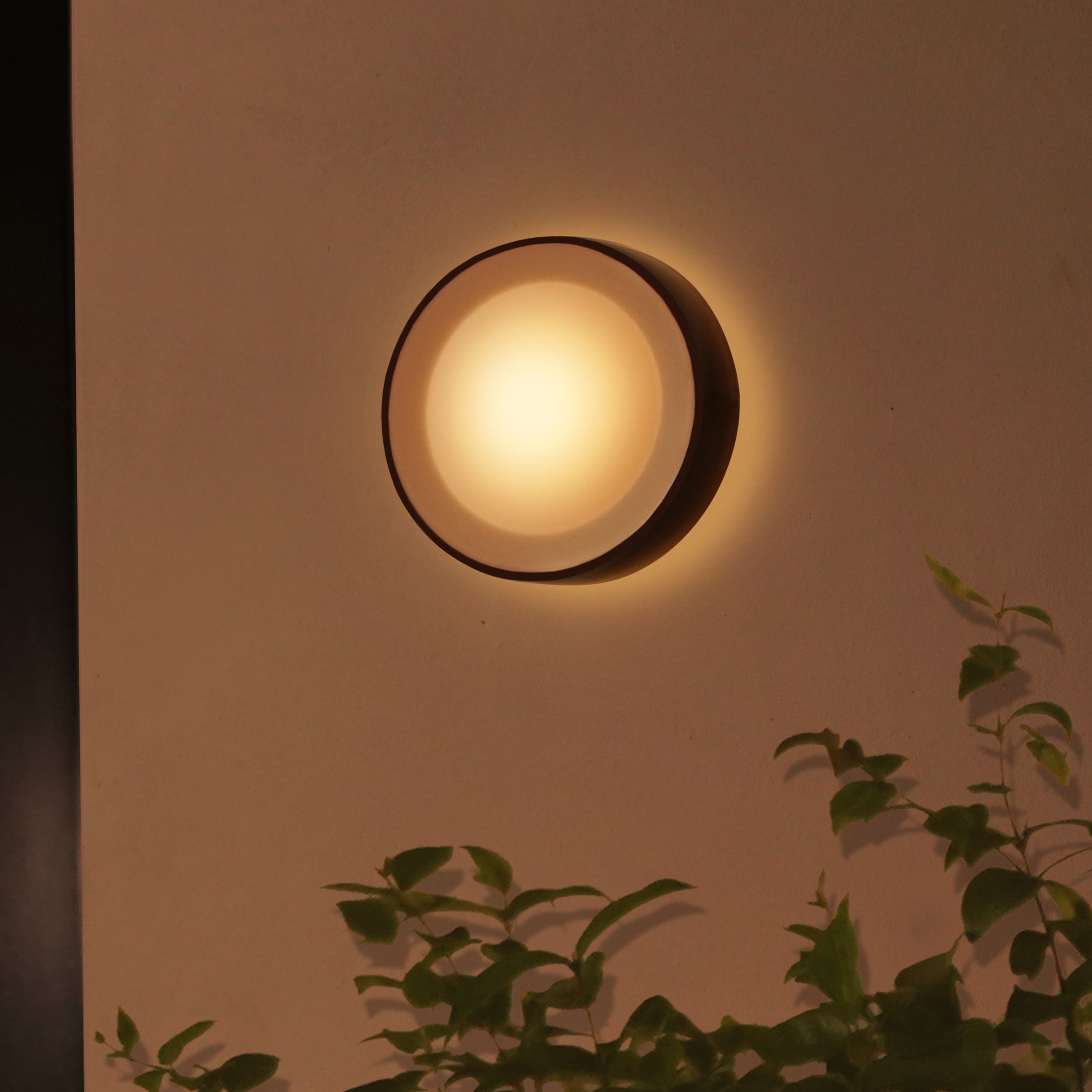 Philips Hue White & Color Ambiance Daylo Wandlamp