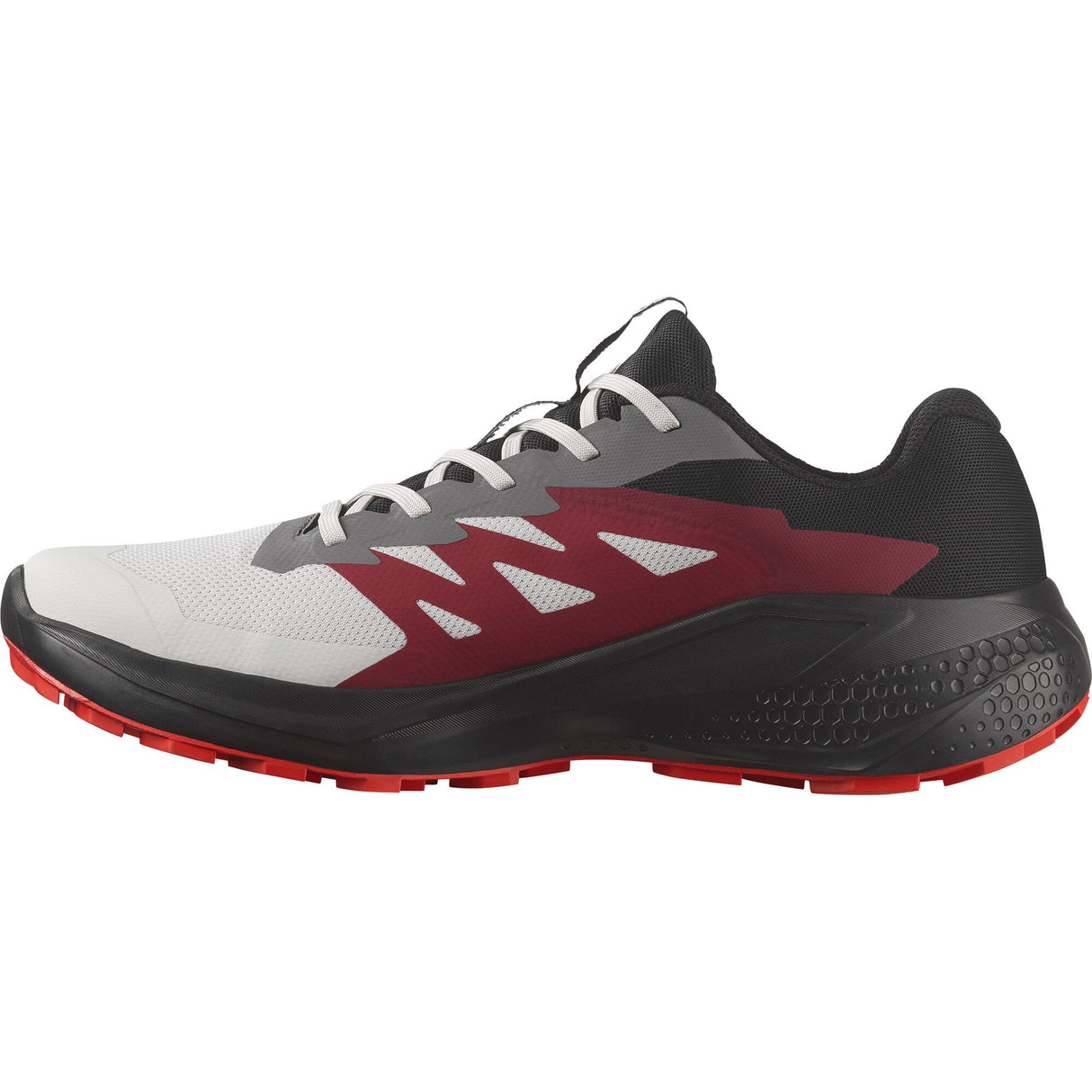 Salomon<br>Alphaglide GTX