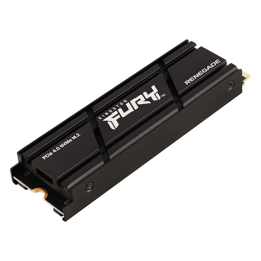 Kingston Fury Renegade SSD avec dissipateur thermique - 2 To