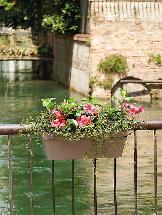 Jardinière à réserve d'eau plastique Deroma Like taupe 49 x 28 x h.17 cm