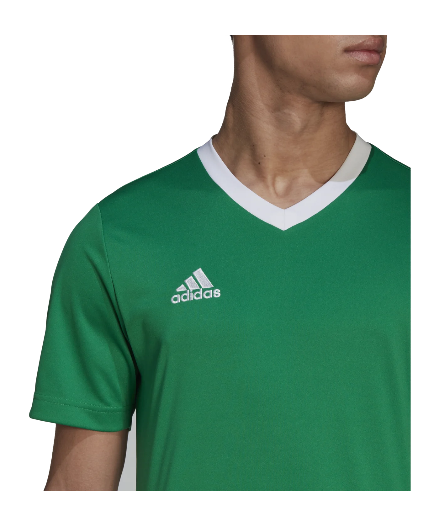 adidas Entrada 22 Trikot Grün