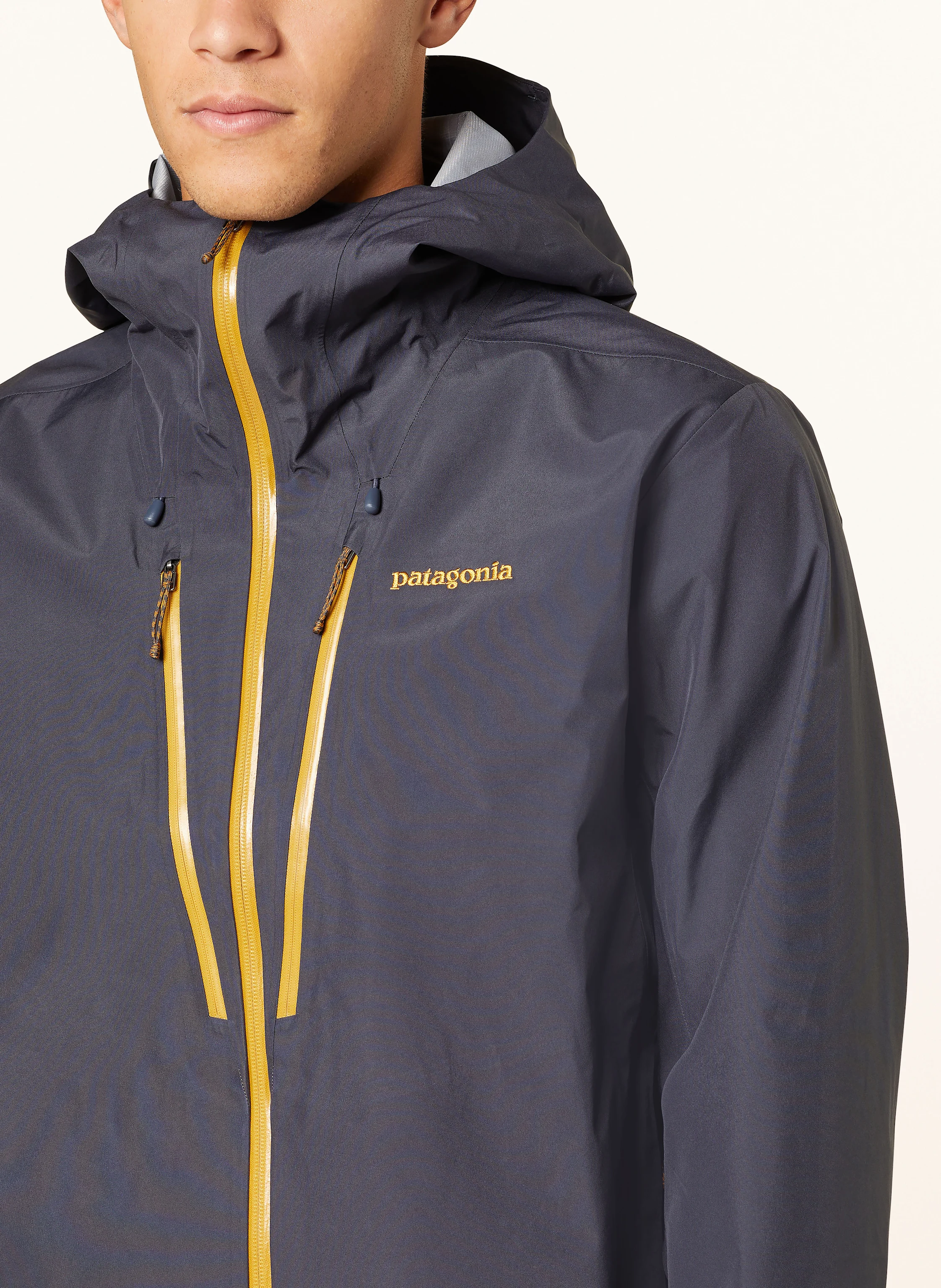 patagonia Funktionsjacke TRIOLET