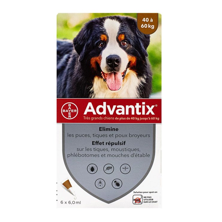 Très grand chien +40 kg 6 pipettes