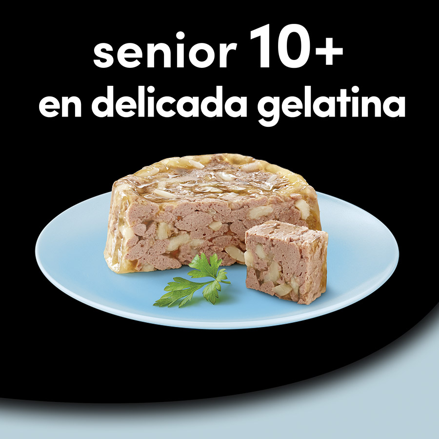 Pote de gelatina com carnes mistas Cesar para cães idosos - Pacote múltiplo