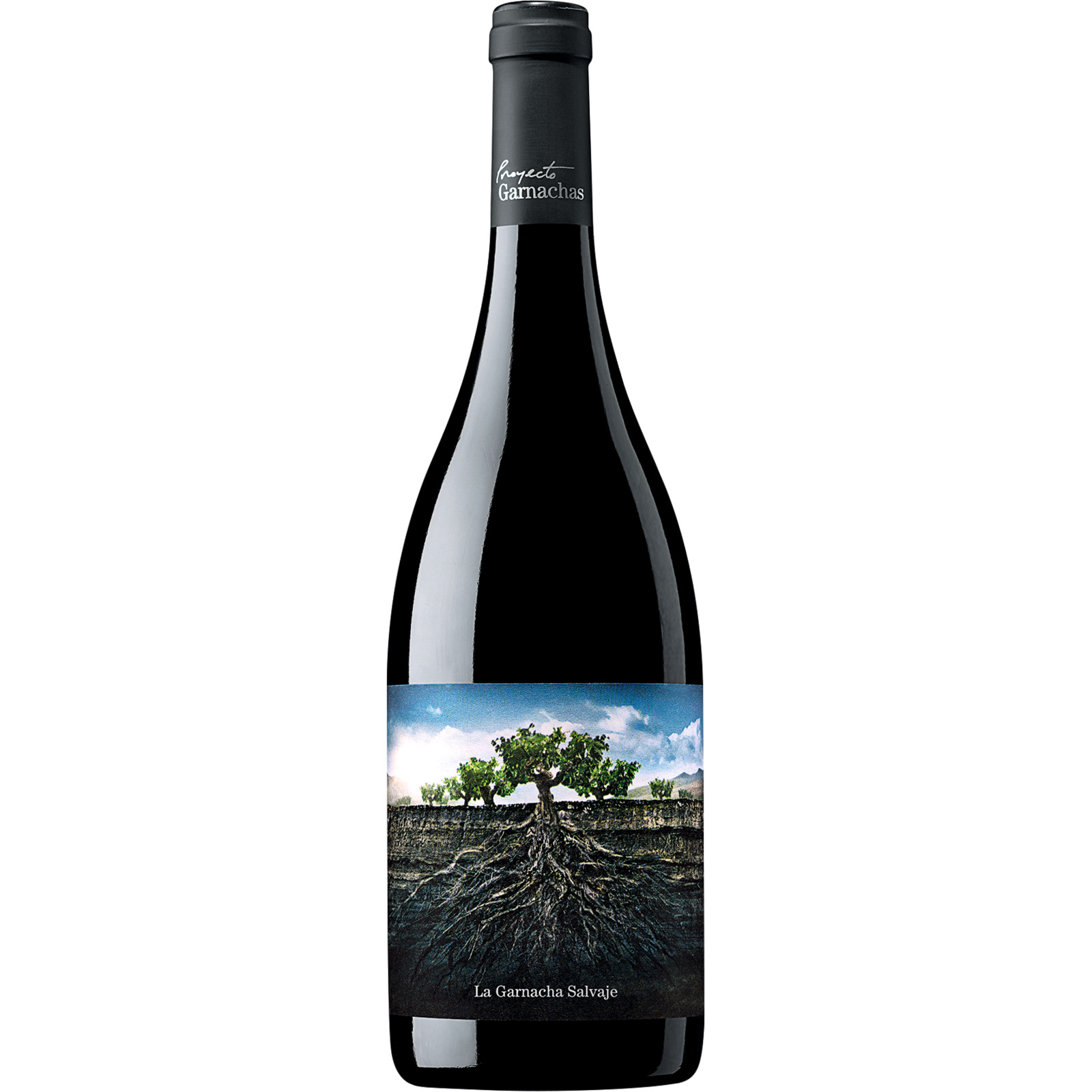 La Garnacha Salvaje de Moncayo