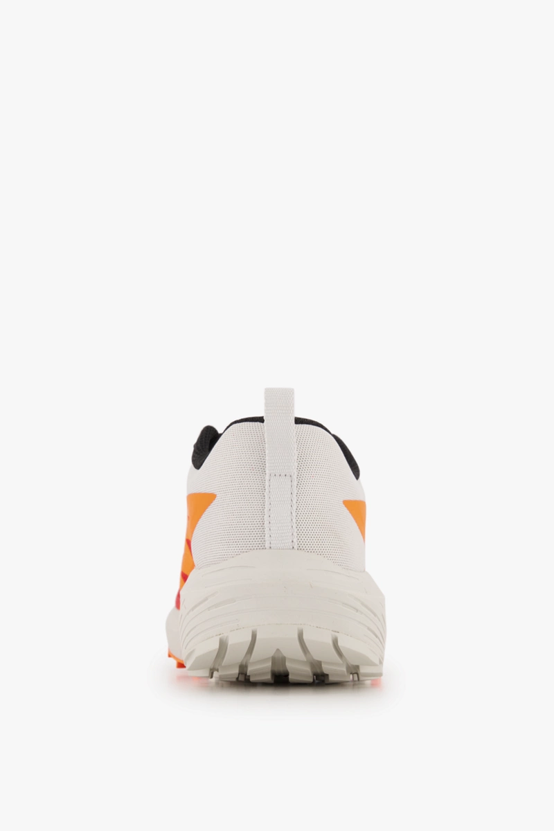 Salomon Sense Ride 5 Herren Trailrunningschuh