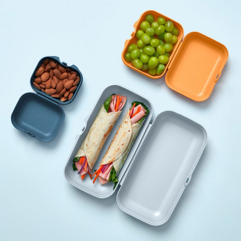 Eco+ Oyster-Set (3) Drei Brotboxen - immer die perfekte Größe dabei