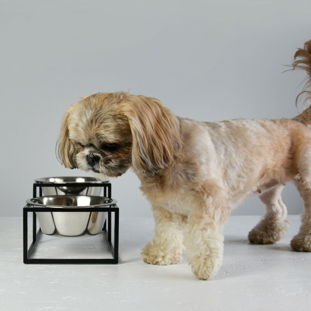 Kum - set de 2 gamelles surélevées pour chien en acier, socle filaire métal noir