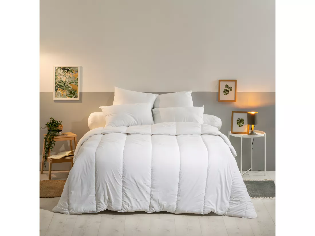 Lot de 2 Oreillers Anti-acariens - Confort Moelleux- 60x60cm