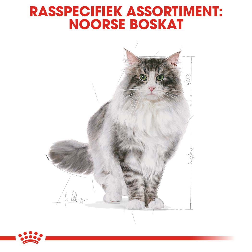 Royal Canin Noorse Boskat Adult - Kattenvoer - 2 Kilogram - Gevogelte
