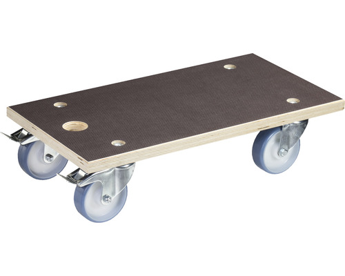 Transportrol Wagner MM1341 Multiplex 580 x 300 mm