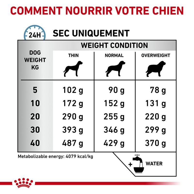 Royal Canin Veterinary Canine Hypoallergenic à Prix Discount | bitiba.fr