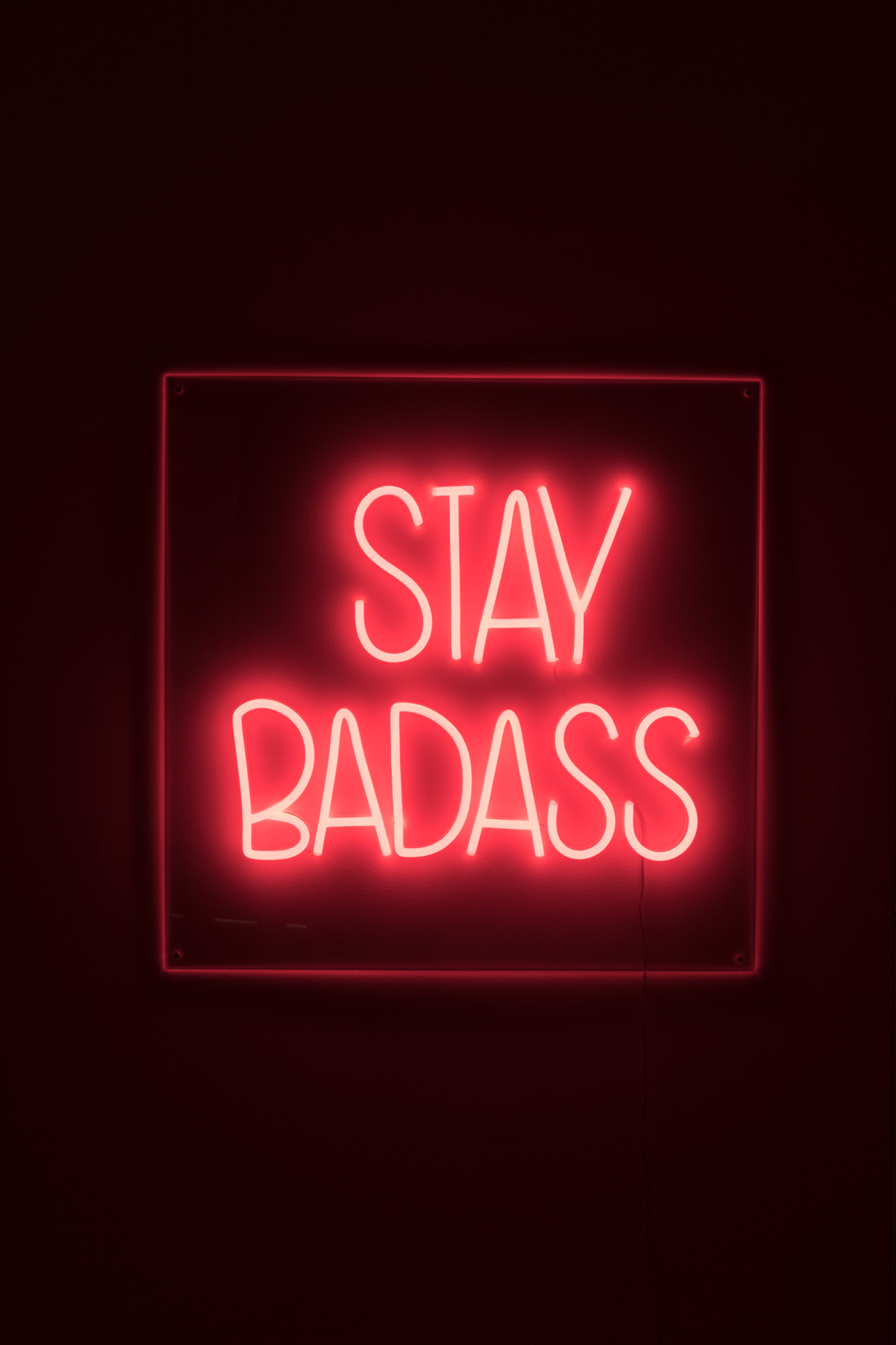 Bold Monkey Badass non social sign Bold Monkey Badass non social bord