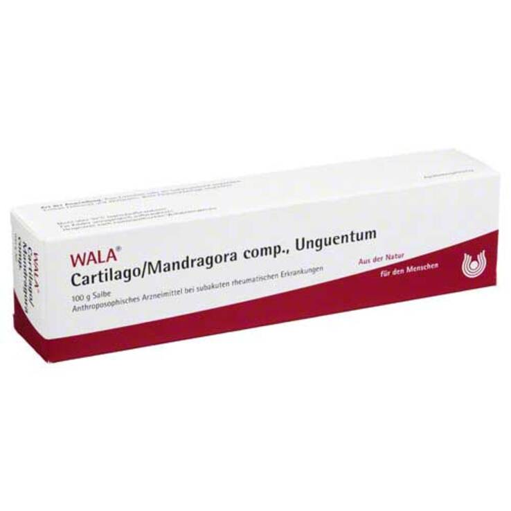 Cartilago / Mandragora comp.Salbe, 100 g