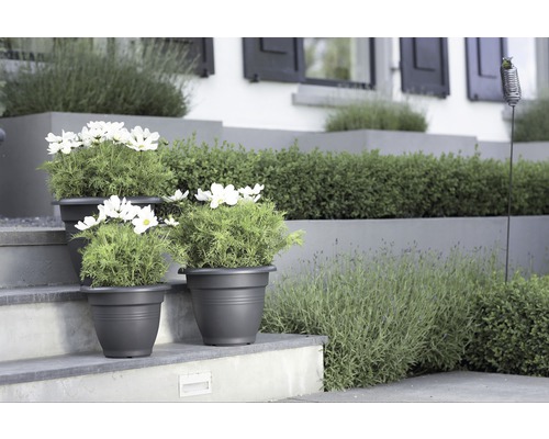 elho Green Basics Campana plantenpot, kunststof, Ø 29 cm, H 23 cm, zwart
