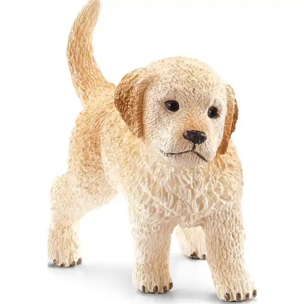 16396 Golden Retriever Welpe