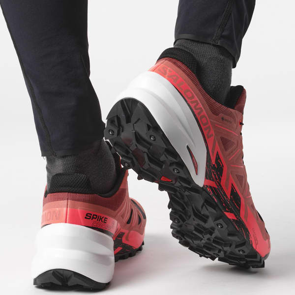 Chaussure trail SALOMON SPIKECROSS 6 GTX