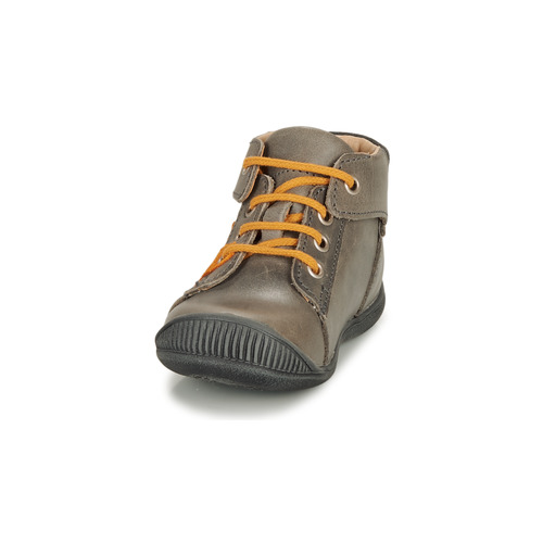 GBB - OVELO - Gris / Ocre