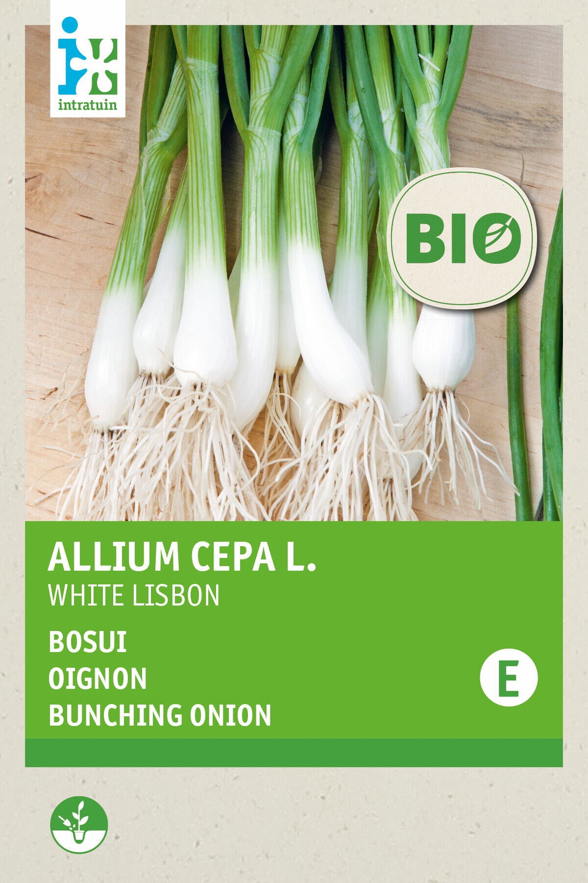 Biologische Intratuin groentezaad (Allium cepa 'White Lisbon')