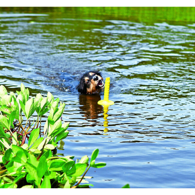 Jouet flottant Dog Activity Mot-Aqua