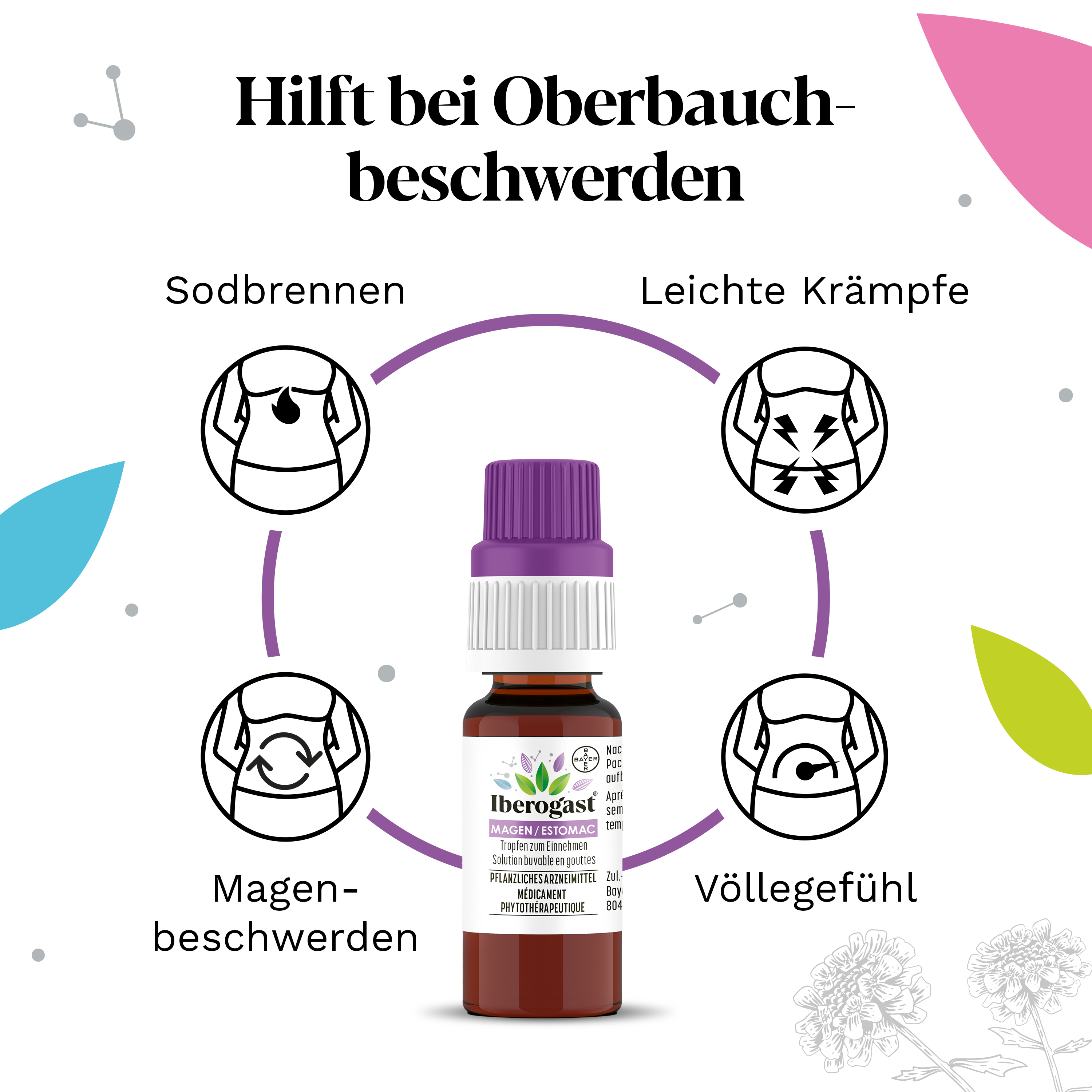Iberogast Magen Tropfen Fl 50 ml
