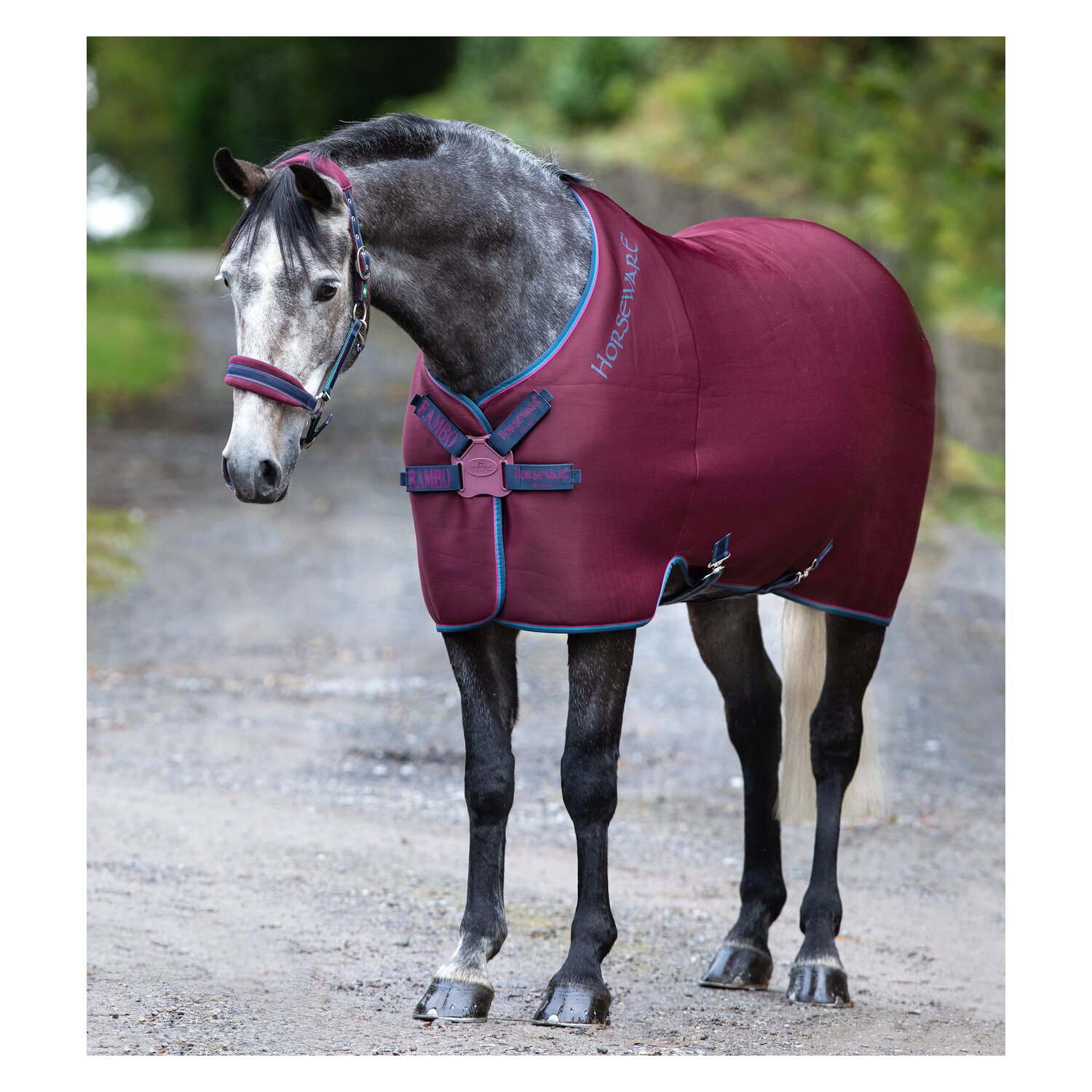 HORSEWARE Abschwitzdecke Rambo Airmax Cooler Disc - burgundy