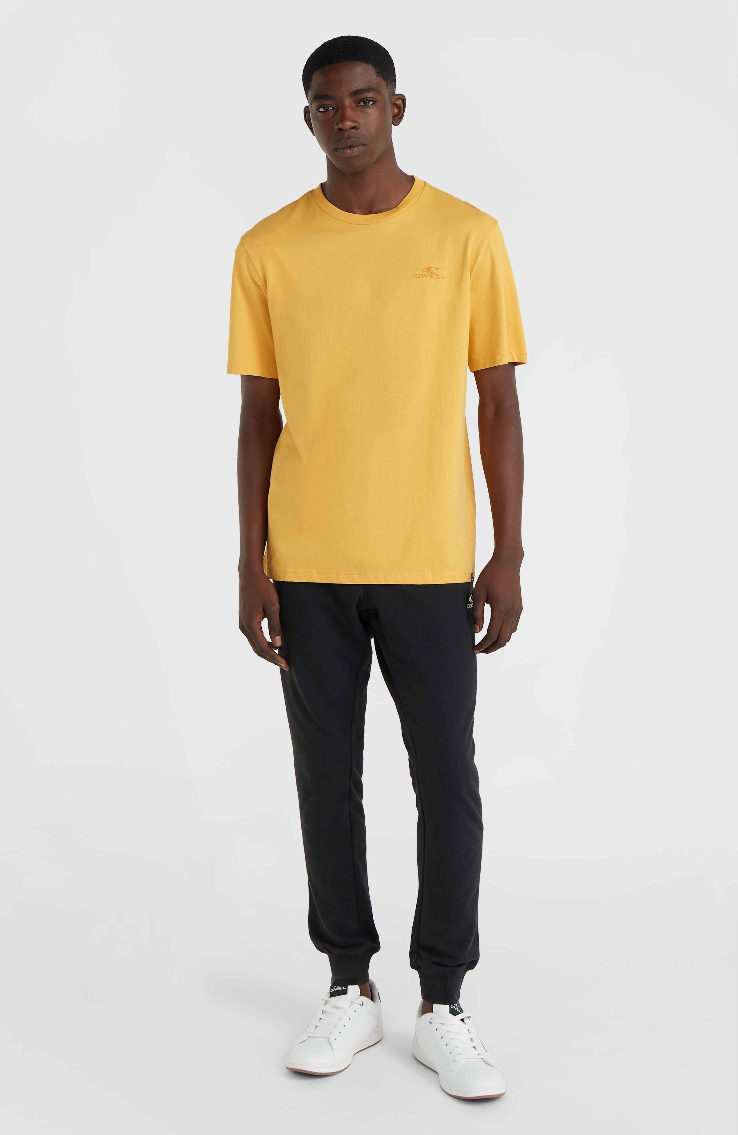 Small Logo T-shirt O`Neill Goud