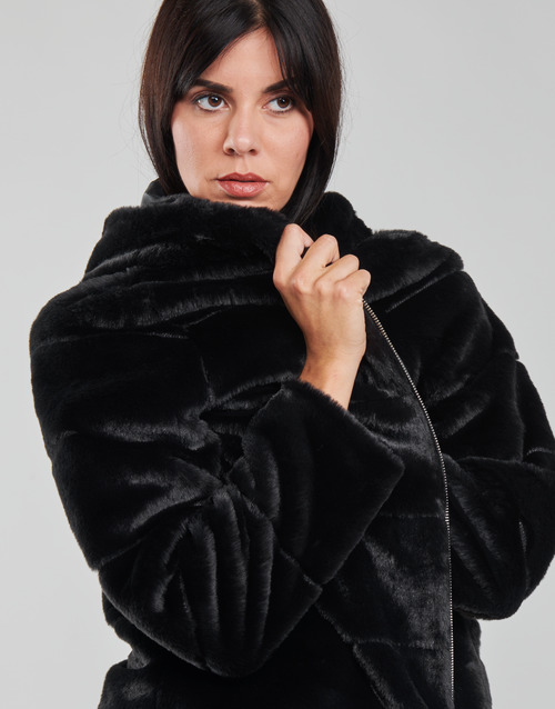 Moony Mood - PARINA Negro