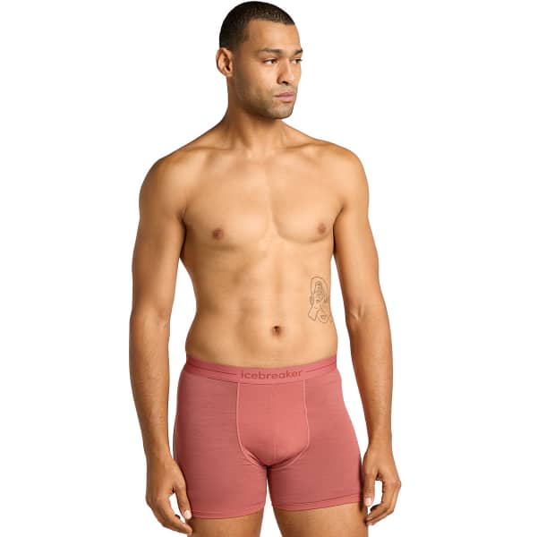 Boxer ICEBREAKER M ANATOMICA BOXERS PLUME