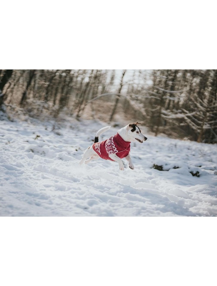 Hunter - Hundepullover Birka 45, rød