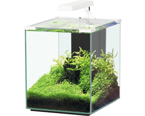 Aquatlantis Nano Cubic 30 aquarium met matglazen achterwand, LED-verlichting, filter, verwarming, pomp, wit (zonder kast)
