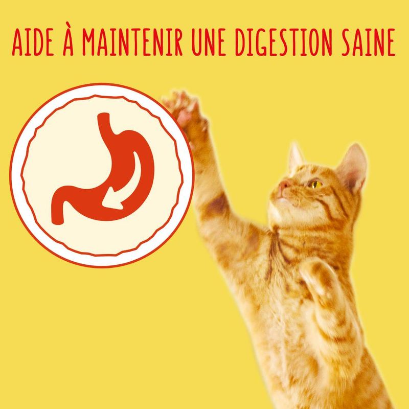 Friskies Adult, colin & légumes