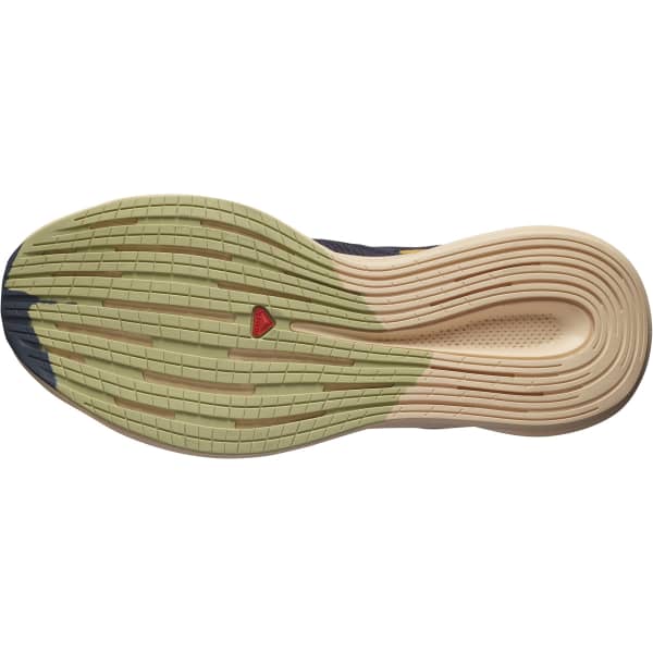 Chaussure running SALOMON SPECTUR W EBONY/ALMOND CREAM/LEEK GREEN