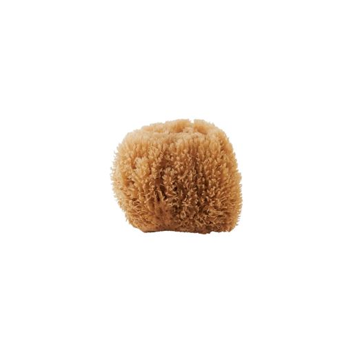 Meraki Sponge