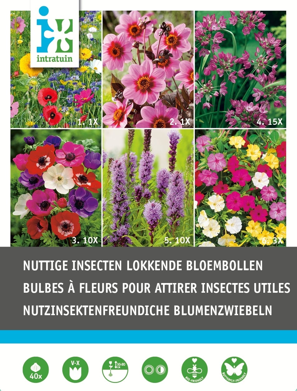 Intratuin bloembollen nuttige bloemen 40 stuks