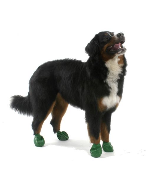 Pawz Rubber Dog Boots - Hondenschoen - Groen X-Large