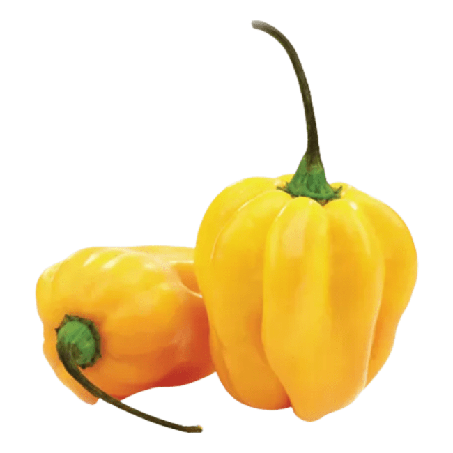 Dag Vers Habanero Geel 75g