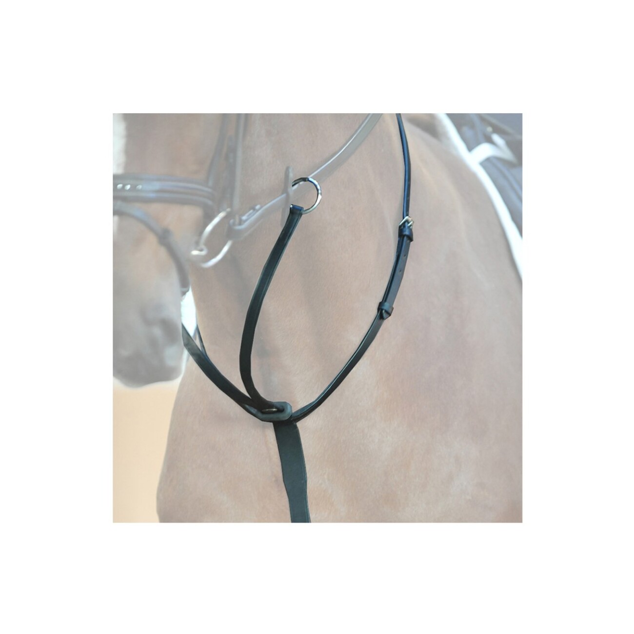 Kavalkade Martingal flaches Leder VB/ COB (Vollblut)