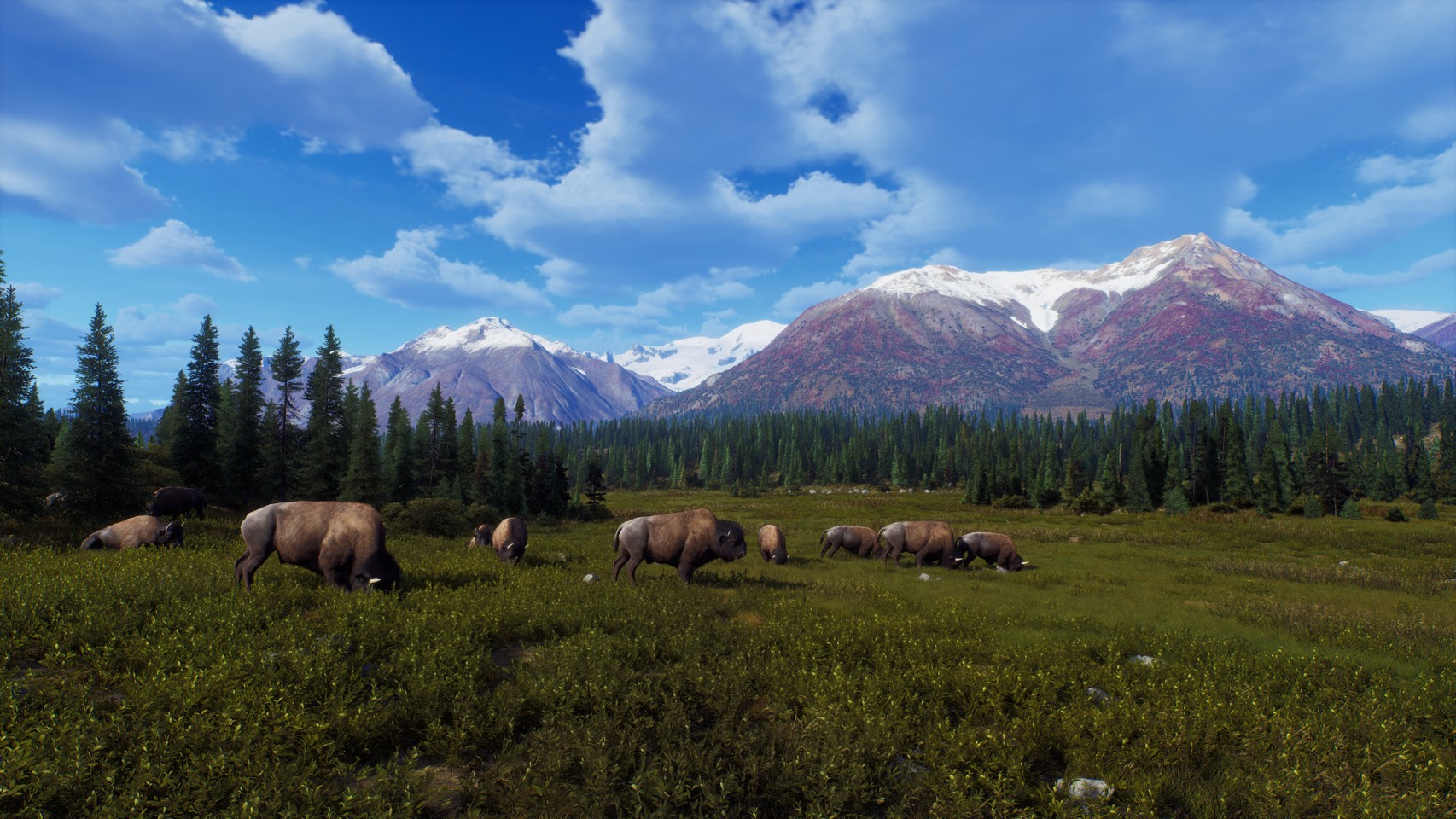 Way of the Hunter - Wild Expeditions- PlayStation 5