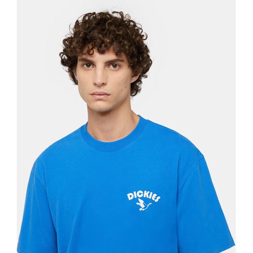 Dickies Goose T-shirt, Turkish Sea, XL