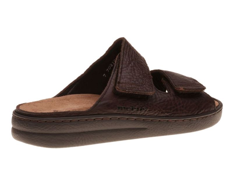 Mephisto James Bruin