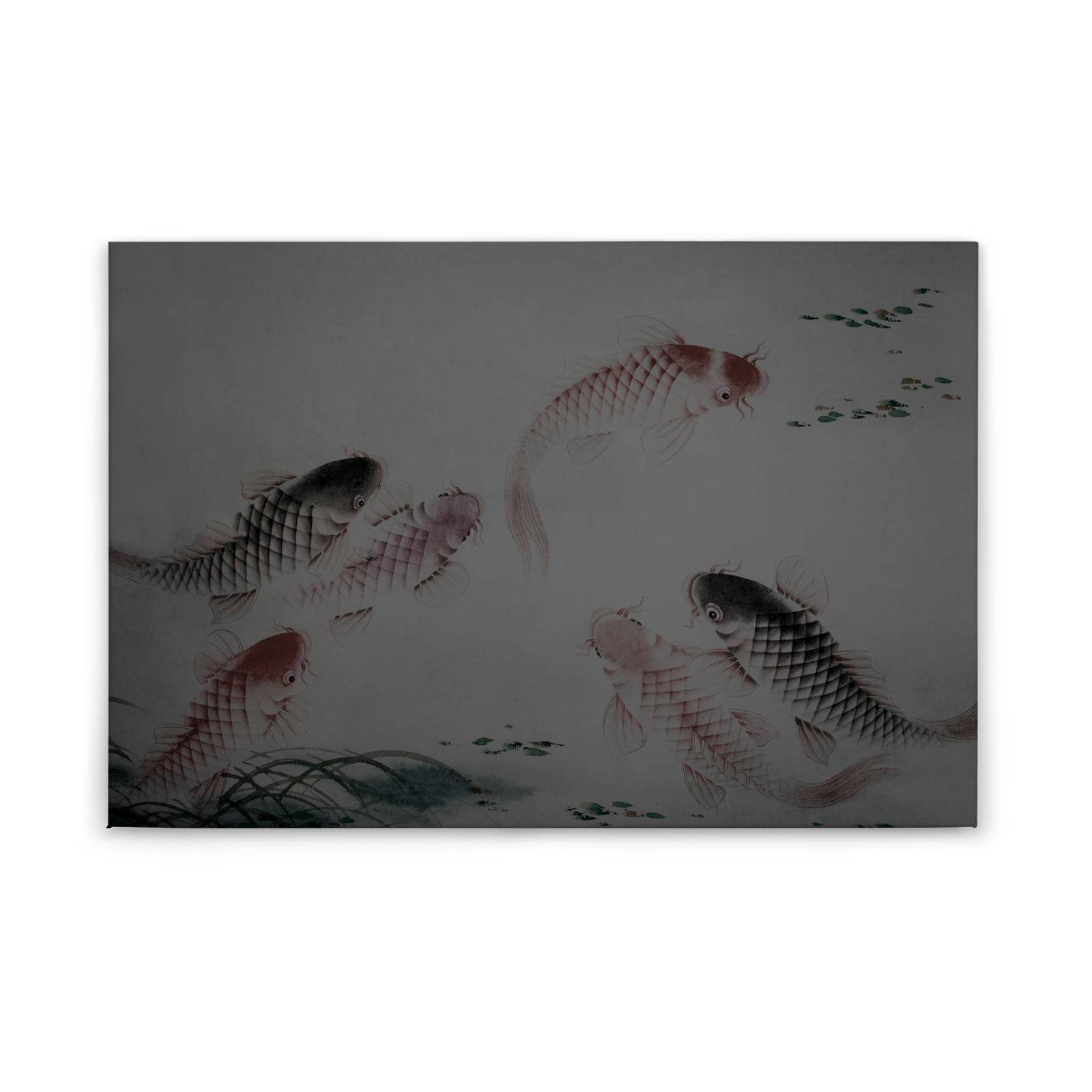 Leinwandbild KOI - grau-braun - 90x60 cm