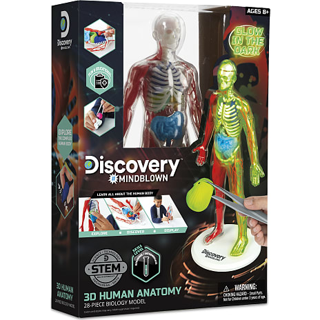 Discovery Mindblown 3D menneskelig anatomi