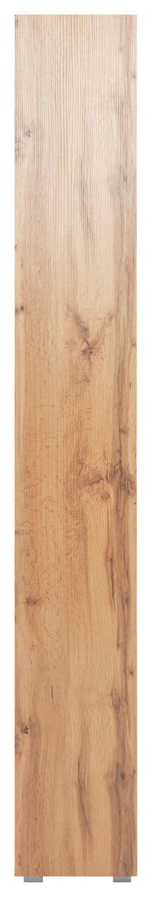 Z2 Regal IMAGE
