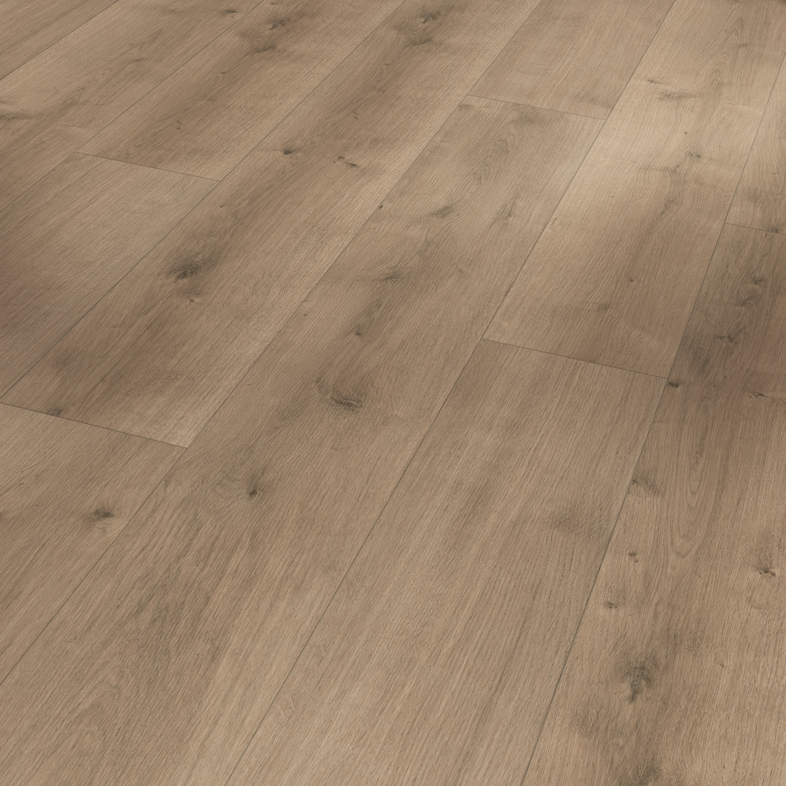 PARADOR Designboden MODULAR ONE - Eiche Pure perlgrau - 8 mm