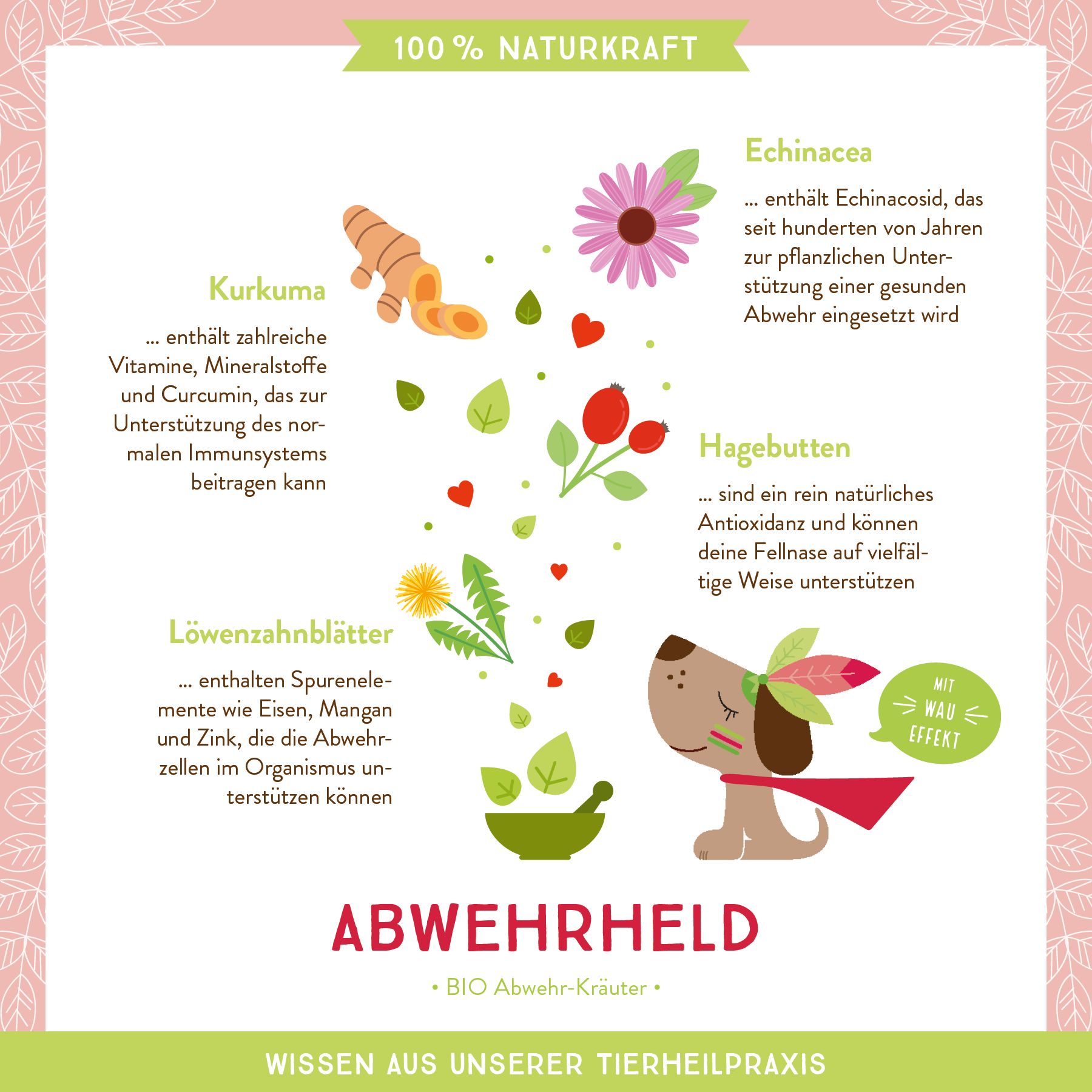 AniCanis Bio Immunkräuter Abwehrheld für Hunde