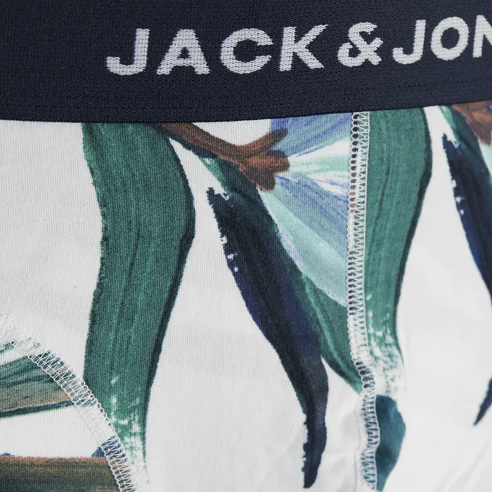 Jack & Jones Louis Trunk Boxershorts Heren (plussize) (3-pack)