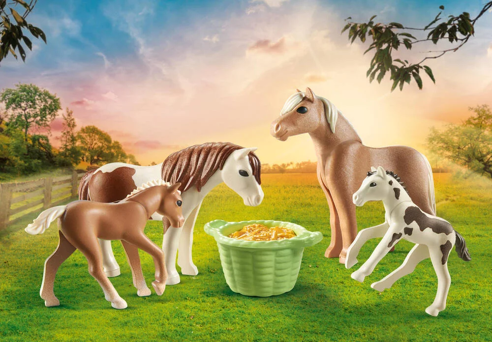 2 PONEYS ISLANDAIS ET POULAINS - 71000
